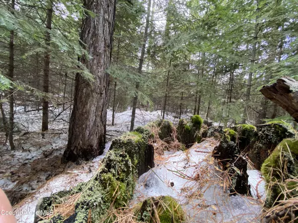 NNA Toad Rd, Priest Lake, ID 83856