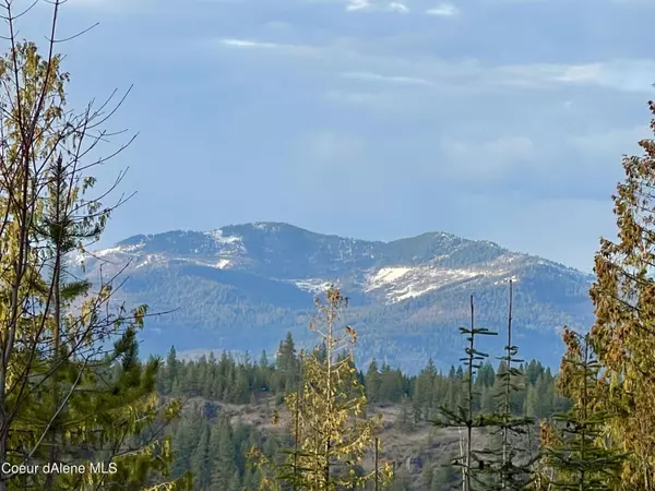 NNA Curtis Creek 40Acre, Priest River, ID 83856