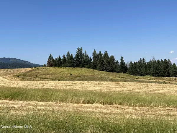 Worley, ID 83876,Meridian Trail - (Parcel 5)