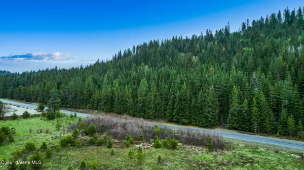 A Coyote Trail, Newport, WA 99156