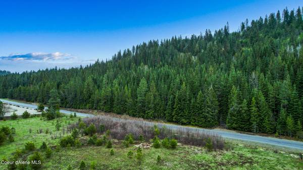 A Coyote Trail, Newport, WA 99156