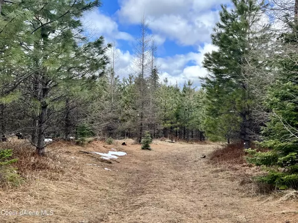 Orofino, ID 83544,NKA Upper Fords Creek