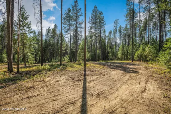 Oldtown, ID 83822,NNA Sleepy Hollow Road, Lot 1