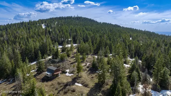 Cottonwood, ID 83522,624 Radar Rd