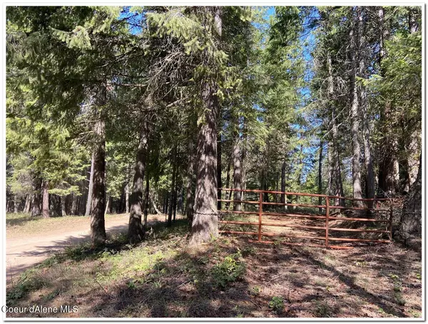 Naples, ID 83847,1175 Dusty Ln