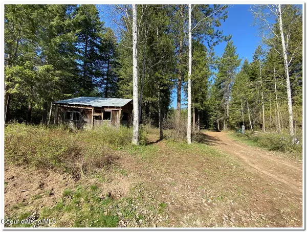 Naples, ID 83847,1175 Dusty Ln