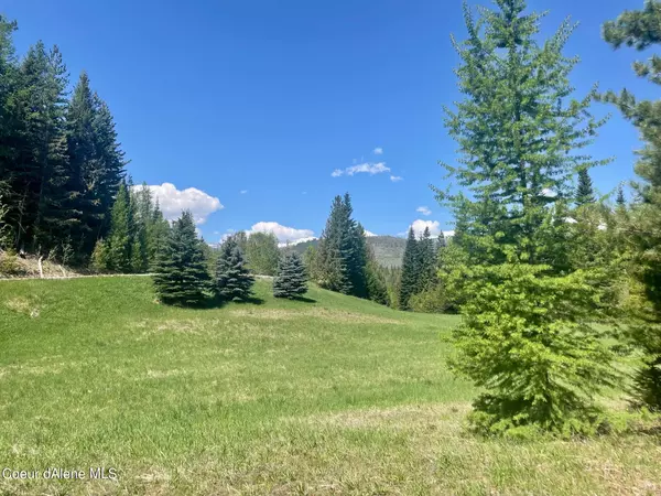 Naples, ID 83847,273 Saddleback Dr