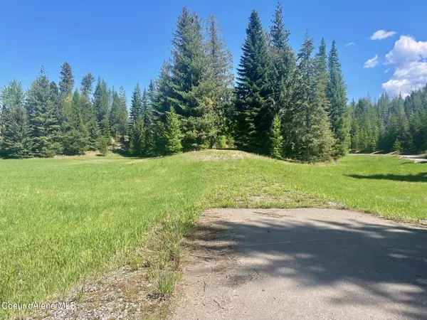 Naples, ID 83847,273 Saddleback Dr