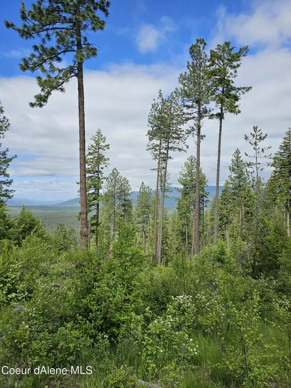 Spirit Lake, ID 83869,NNA Four Wheel Drive