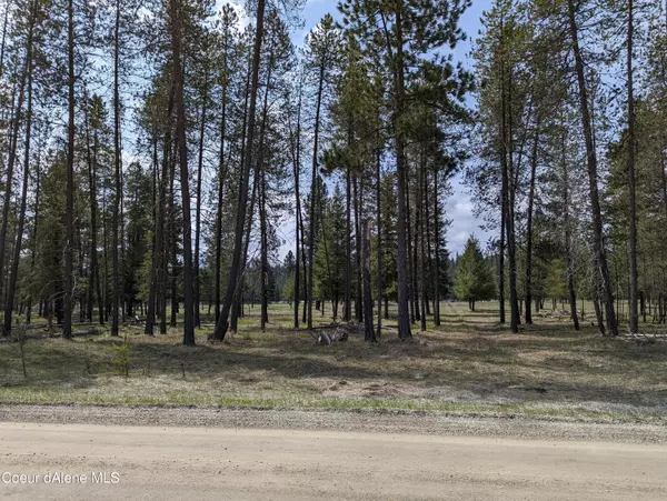 Athol, ID 83801,Lot 1 #2 Mohawk Dr