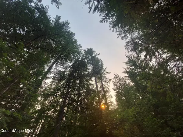 NKA Wandering Wolf Ridge Lot 3, Clark Fork, ID 83811