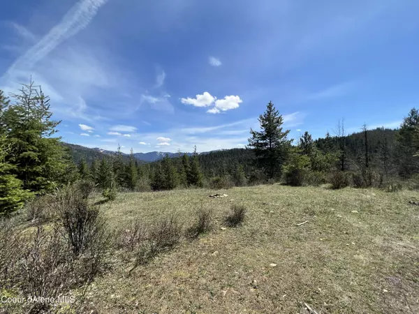 Kingston, ID 83839,Lot 6 Moose Mountain Acres