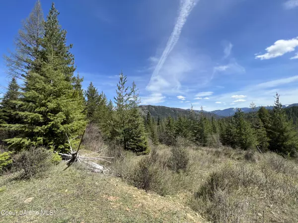 Kingston, ID 83839,Lot 6 Moose Mountain Acres