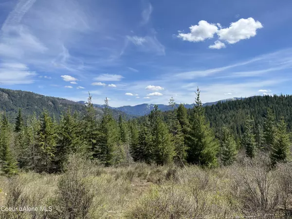 Kingston, ID 83839,Lot 6 Moose Mountain Acres