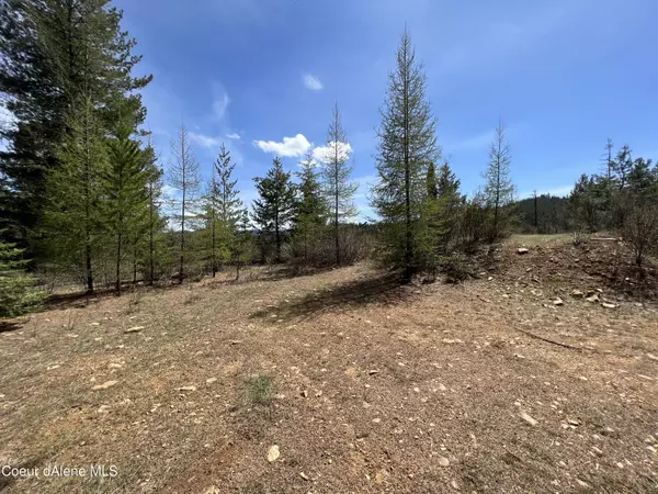 Kingston, ID 83839,Lot 6 Moose Mountain Acres