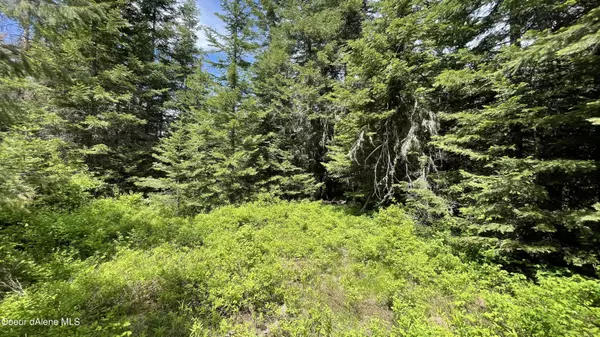 Orofino, ID 83544,NKA Elderberry Lane