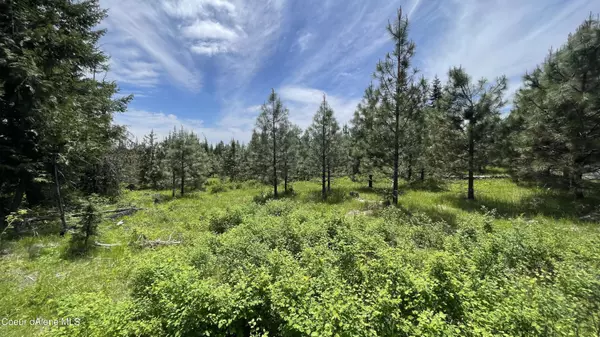 Orofino, ID 83544,NKA Elderberry Dr  Parcel 10