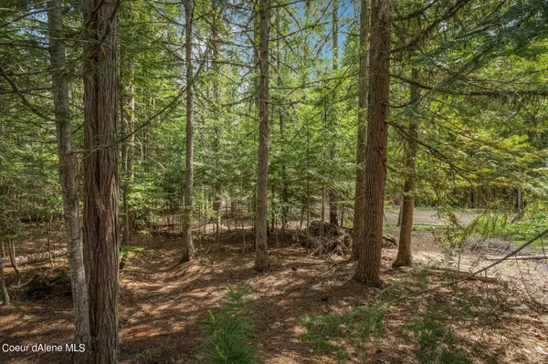 Nordman, ID 83848,Lot 3 Al Elkins Lane