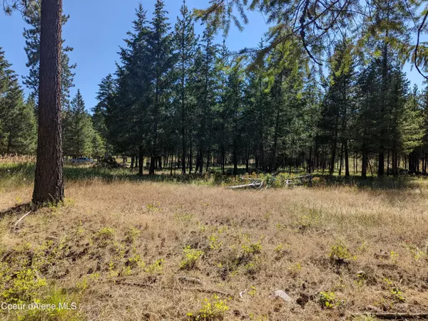 Athol, ID 83801,Lot 1 Mohawk Dr Phase 1