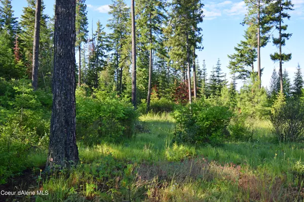 Lot 4 Pintail Dr, Bonners Ferry, ID 83805