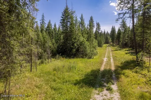 Athol, ID 83801,Lot 3 Trails End Rd