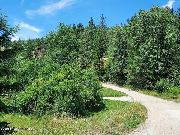 Priest River, ID 83856,149 Pine Leaf Rd