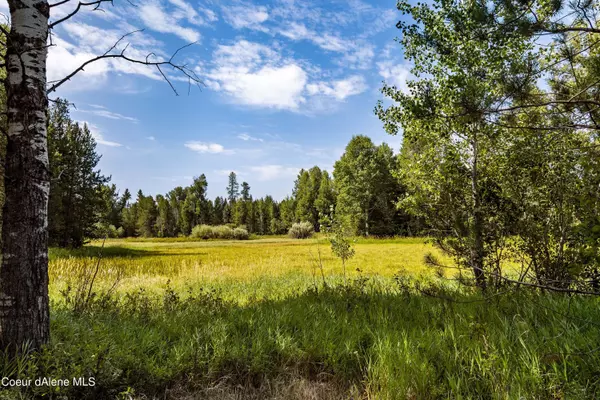 Careywood, ID 83809,NNA Old Homestead Road