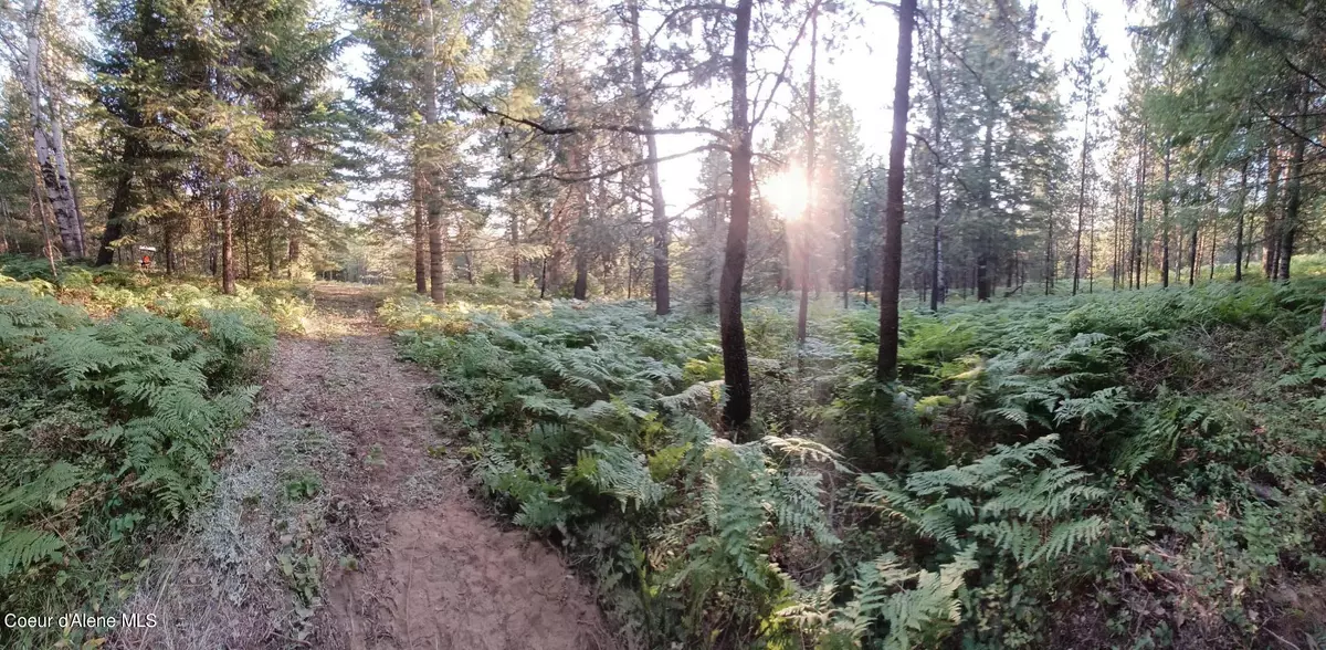 Careywood, ID 83809,NNA Old Homestead Road