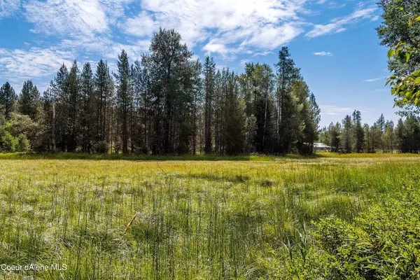 Careywood, ID 83809,NNA Old Homestead Road