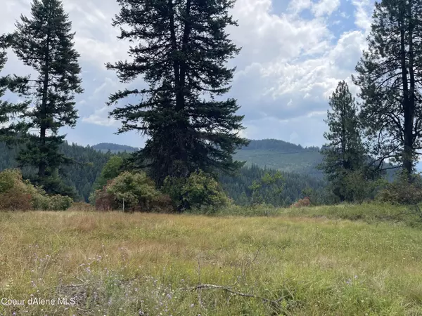 630 Davis Creek Rd, Santa, ID 83866