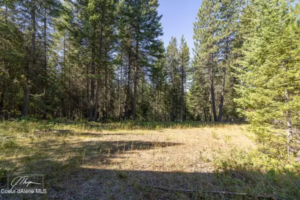 Careywood, ID 83809,1107 Little Blacktail Mountain Rd