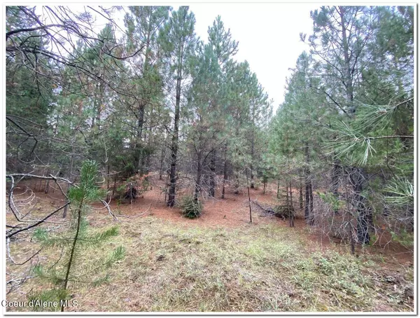 Naples, ID 83847,Lot 1 Willow Ln