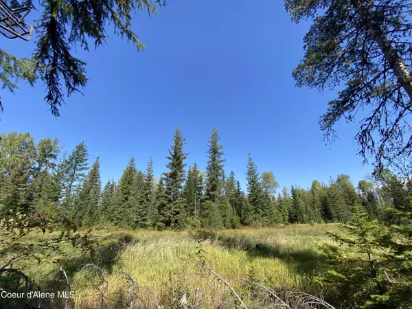 Clark Fork, ID 83811,NNA Road 32 Parcel 4