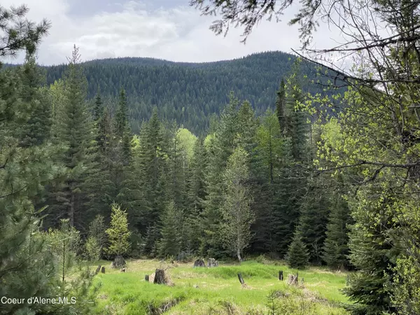 Clark Fork, ID 83811,NNA Road 32 Parcel 4