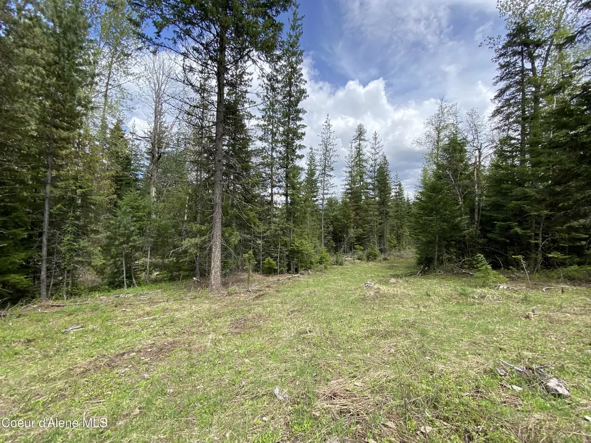 Clark Fork, ID 83811,NNA Road 32 Parcel 4