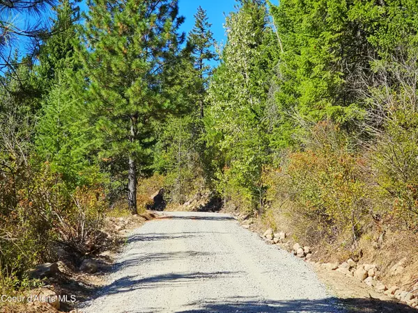 Athol, ID 83801,NKA Mean Moose Rd