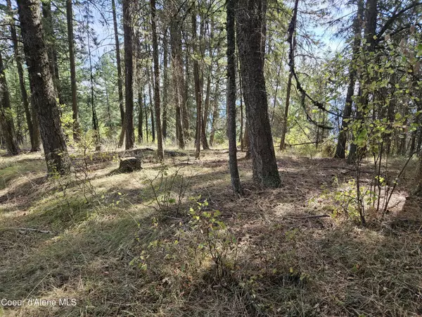 Worley, ID 83876,NKA Bella Vista