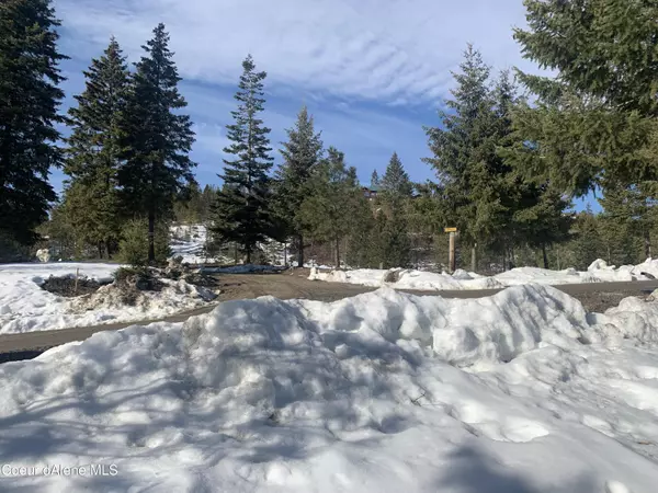 Athol, ID 83801,NKA Grand Fir Drive Lot 1