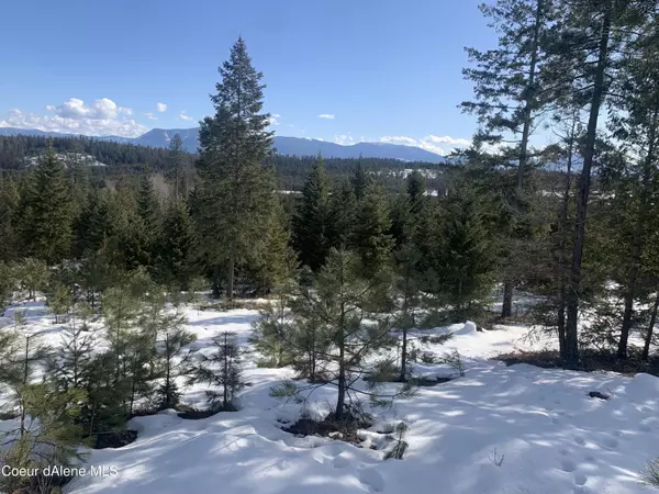 Athol, ID 83801,NKA Grand Fir Drive Lot 1