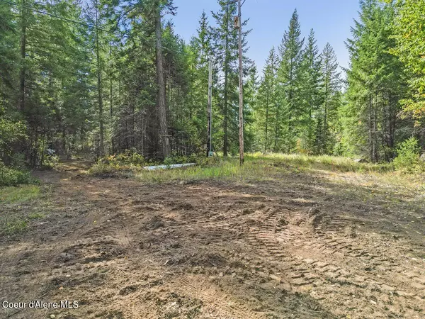 Sandpoint, ID 83864,NNA Coyote Creek Ln