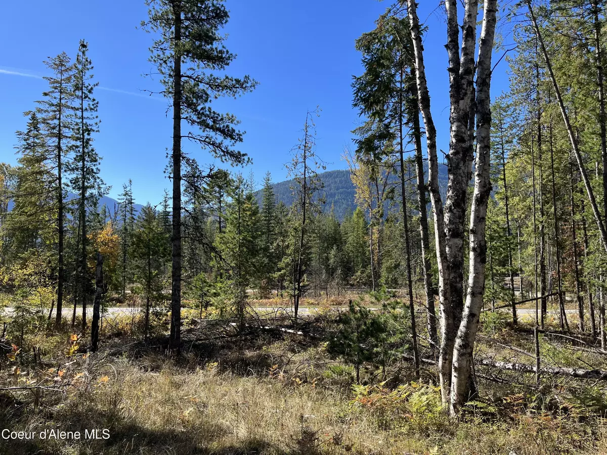 Clark Fork, ID 83811,NKA Highway 200, Lot 1