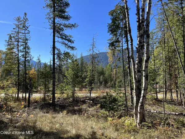 NKA Highway 200, Lot 1, Clark Fork, ID 83811