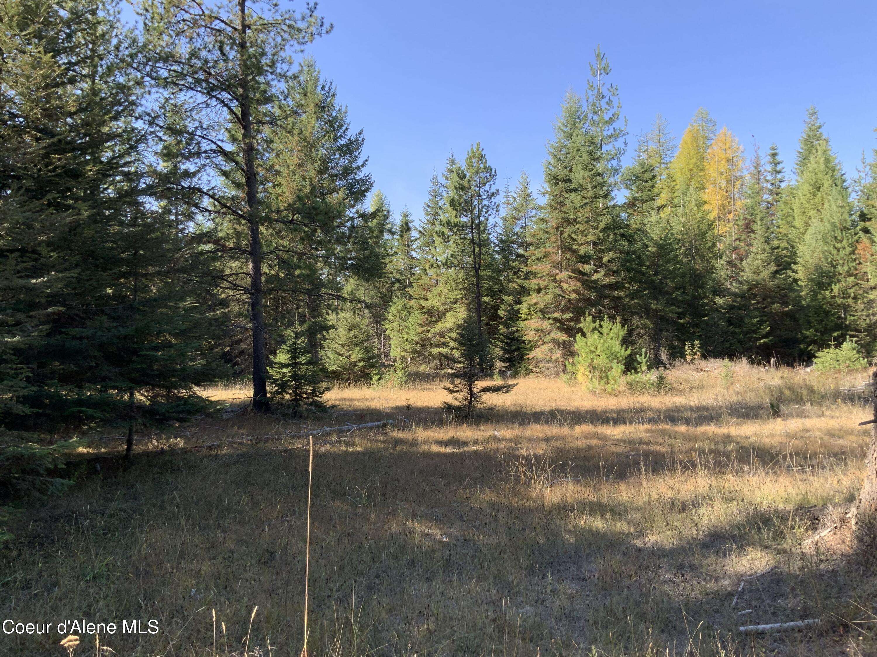Clark Fork, ID 83811,NKA Cabinet Gorge Rd (A)