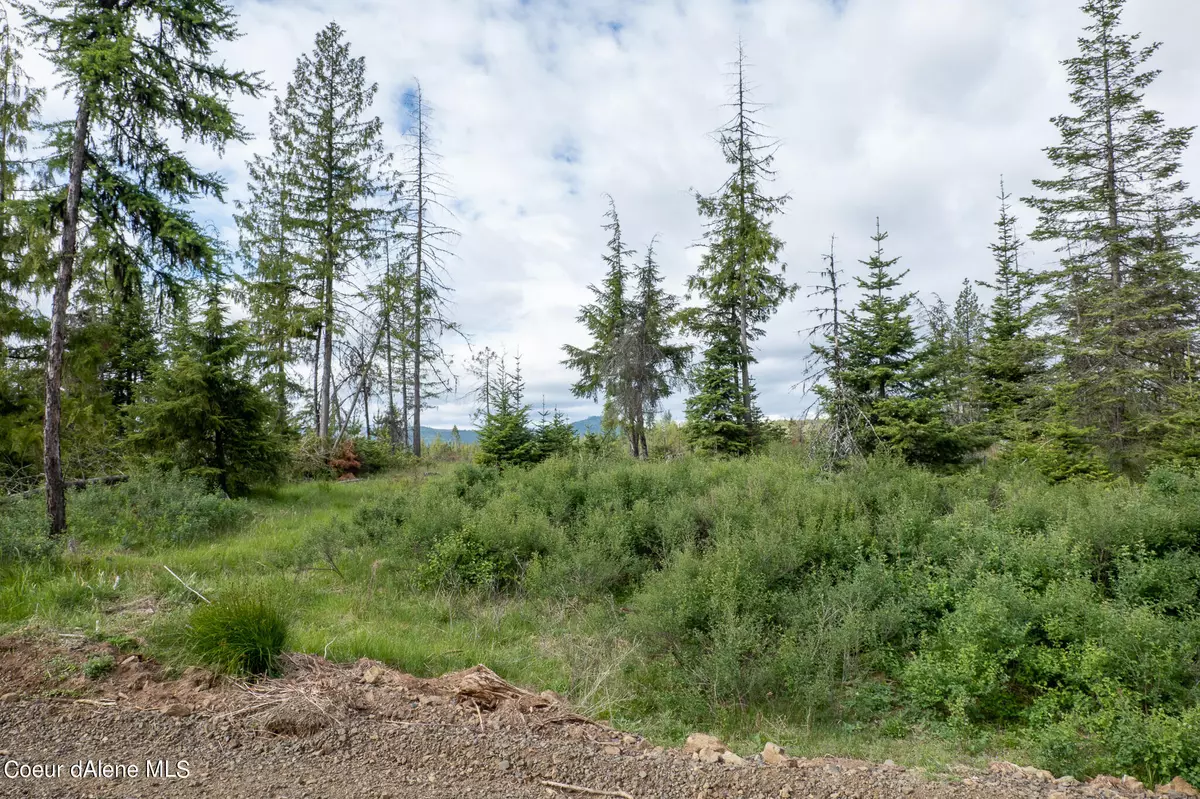 St. Maries, ID 83861,Lot 3 Block 2 Sportsman Rd