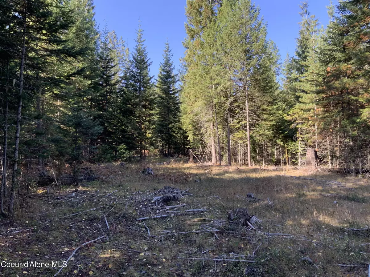 Clark Fork, ID 83811,NKA Cabinet Gorge Rd (B)