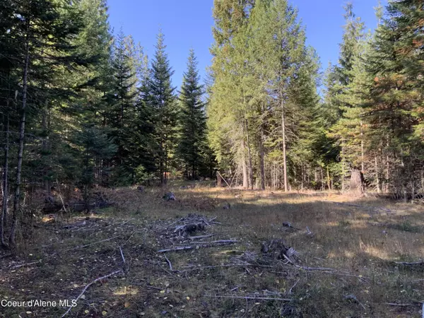 NKA Cabinet Gorge Rd (B), Clark Fork, ID 83811