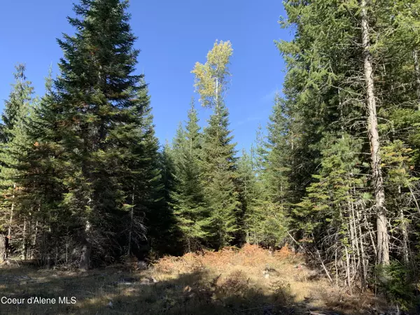 Clark Fork, ID 83811,NKA Cabinet Gorge Rd (B)