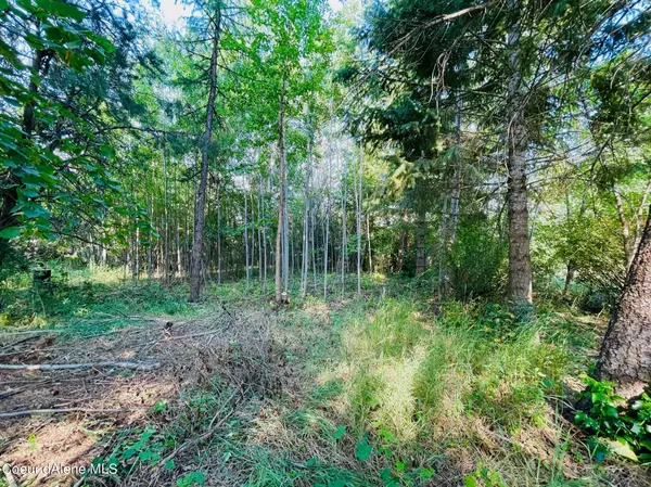 Plummer, ID 83851,1375 B St