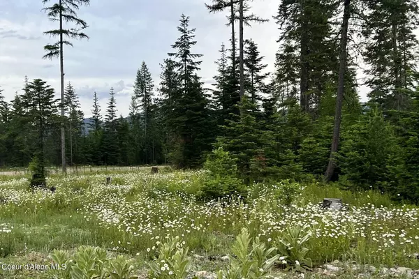 Athol, ID 83801,Lot14 Blk1 Leonard LOOP