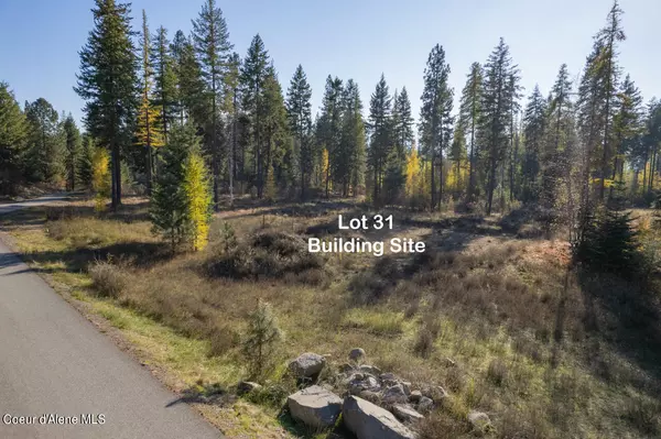 Bonners Ferry, ID 83805,142 Wood Duck Ln